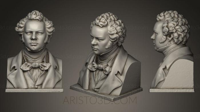 Busts and bas-reliefs of famous people (BUSTC_0196) 3D model for CNC machine